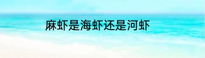 麻虾是海虾还是河虾