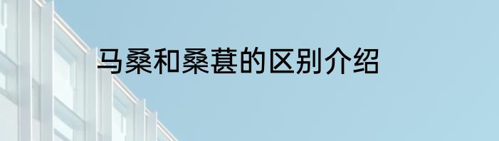 马桑和桑葚的区别介绍