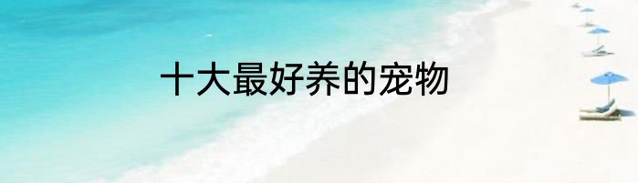 十大最好养的宠物