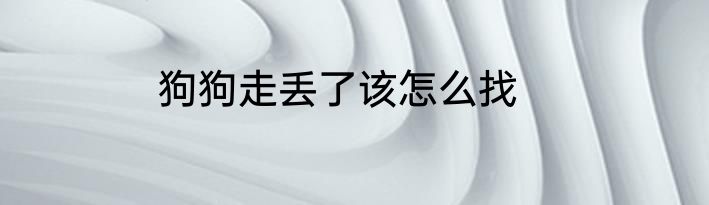 狗狗走丢了该怎么找