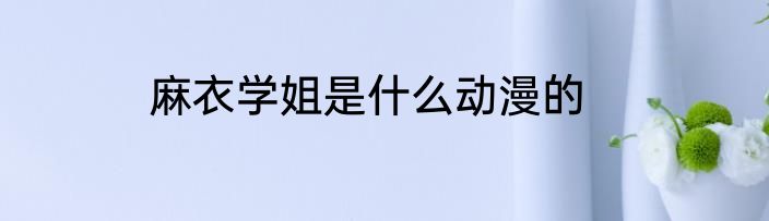 麻衣学姐是什么动漫的