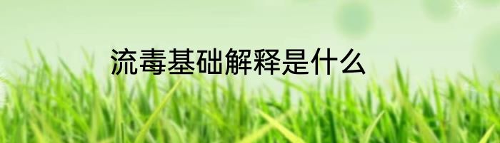 流毒基础解释是什么