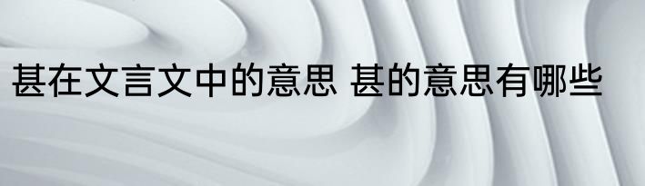 甚在文言文中的意思 甚的意思有哪些