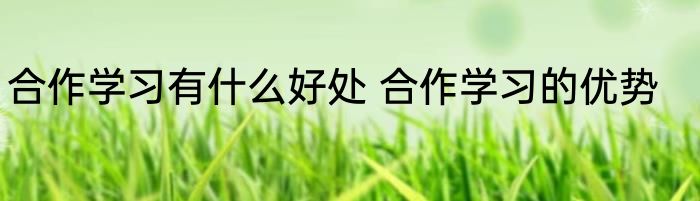 合作学习有什么好处 合作学习的优势