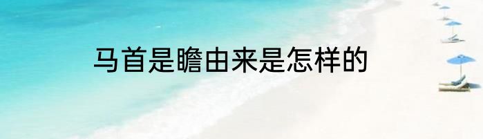 马首是瞻由来是怎样的