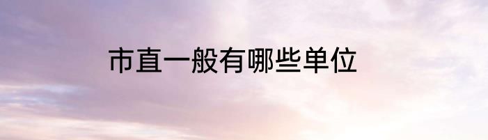 市直一般有哪些单位