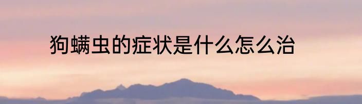 狗螨虫的症状是什么怎么治