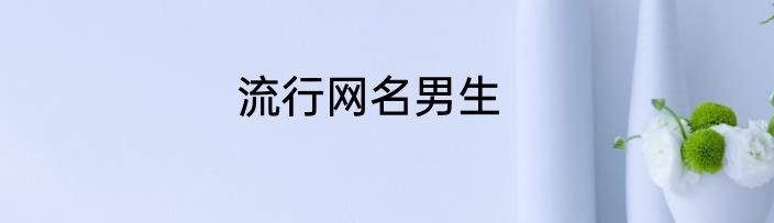 流行网名男生