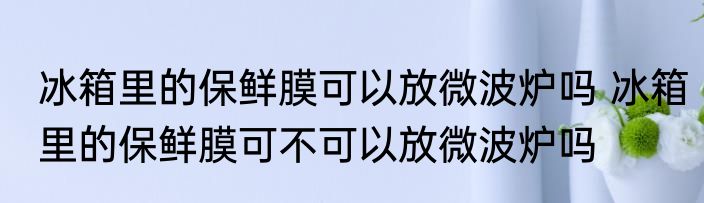 冰箱里的保鲜膜可以放微波炉吗 冰箱里的保鲜膜可不可以放微波炉吗