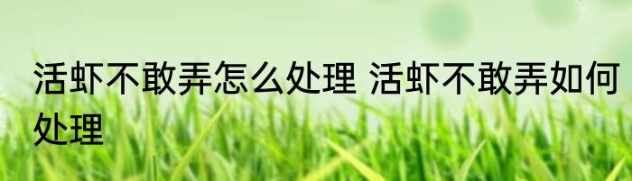 活虾不敢弄怎么处理 活虾不敢弄如何处理
