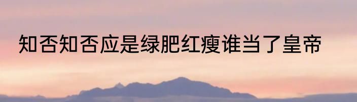 知否知否应是绿肥红瘦谁当了皇帝