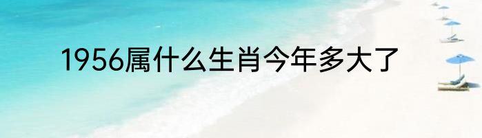 1956属什么生肖今年多大了