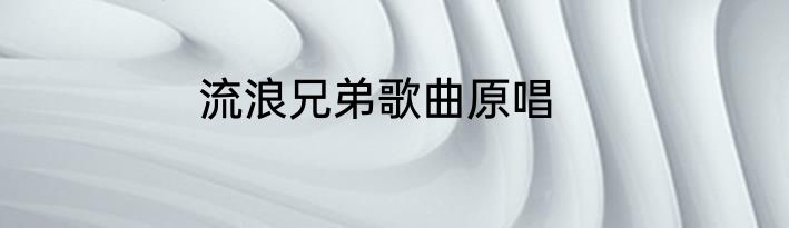 流浪兄弟歌曲原唱