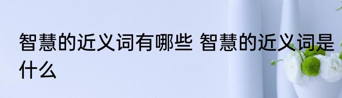 智慧的近义词有哪些 智慧的近义词是什么