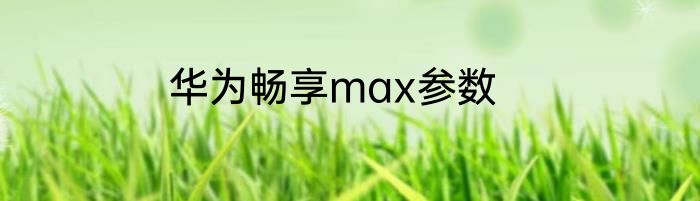 华为畅享max参数