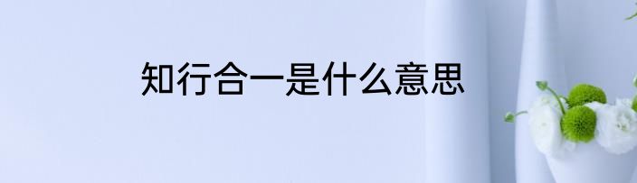 知行合一是什么意思