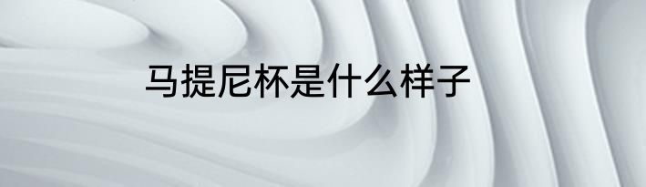 马提尼杯是什么样子