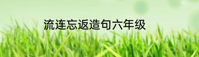 流连忘返造句六年级