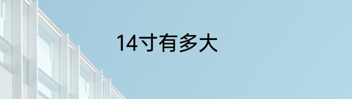 14寸有多大