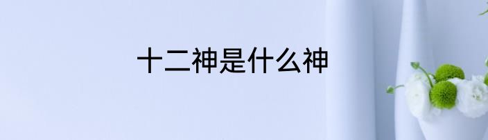 十二神是什么神
