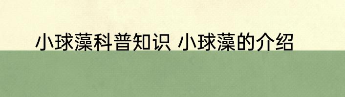 小球藻科普知识 小球藻的介绍