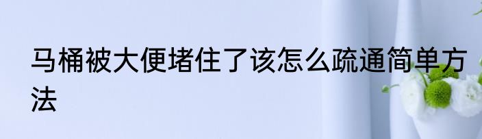 马桶被大便堵住了该怎么疏通简单方法