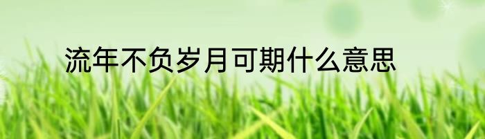 流年不负岁月可期什么意思