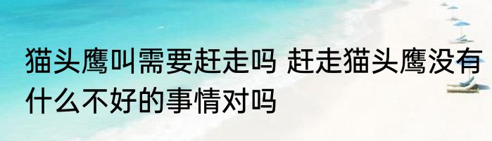 猫头鹰叫需要赶走吗 赶走猫头鹰没有什么不好的事情对吗