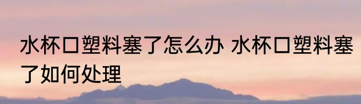 水杯口塑料塞了怎么办 水杯口塑料塞了如何处理