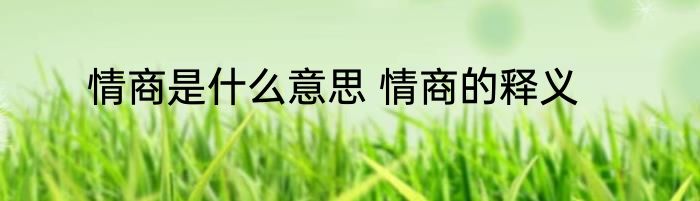 情商是什么意思 情商的释义