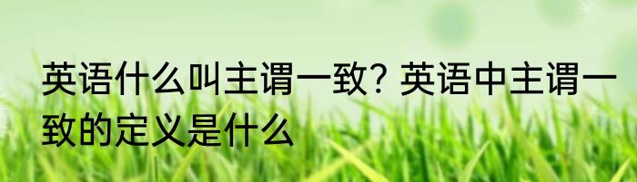 英语什么叫主谓一致? 英语中主谓一致的定义是什么