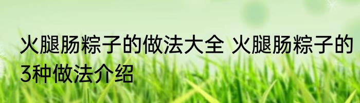 火腿肠粽子的做法大全 火腿肠粽子的3种做法介绍