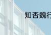 知否魏行首为什么跑了