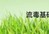 流毒基础解释是什么