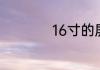 16寸的屏幕是多大啊