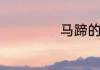 马蹄的做法有哪些