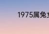 1975属兔女47岁以后运气