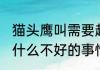 猫头鹰叫需要赶走吗 赶走猫头鹰没有什么不好的事情对吗