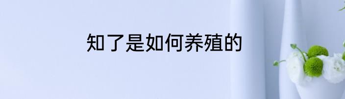 知了是如何养殖的