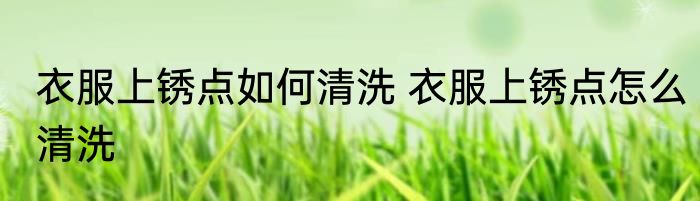 衣服上锈点如何清洗 衣服上锈点怎么清洗