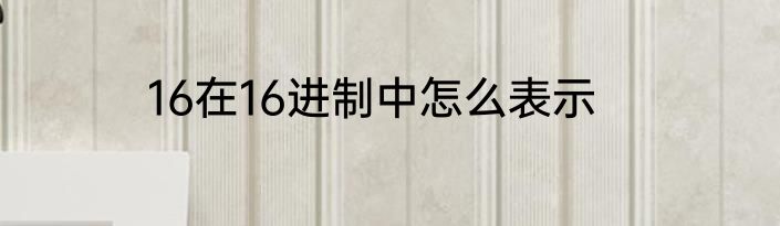 16在16进制中怎么表示