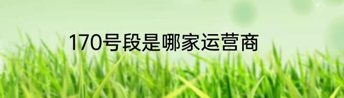 170号段是哪家运营商