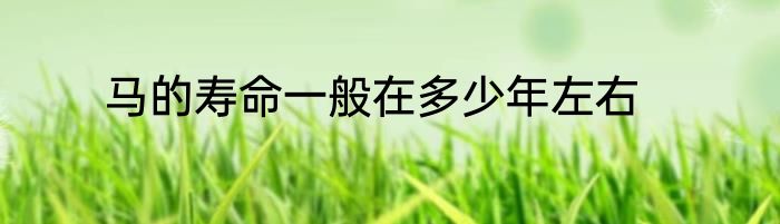 马的寿命一般在多少年左右