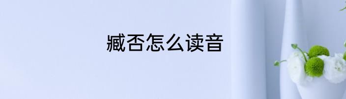 臧否怎么读音