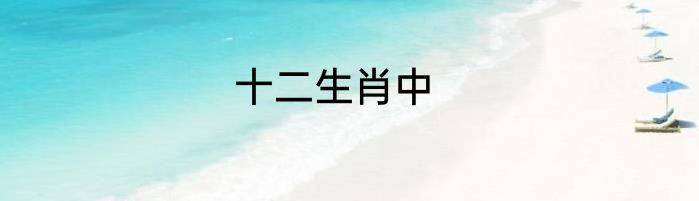 十二生肖中