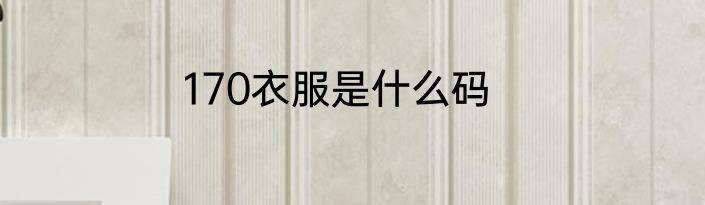170衣服是什么码