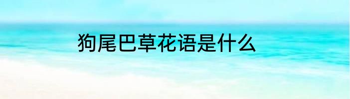 狗尾巴草花语是什么