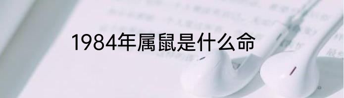 1984年属鼠是什么命