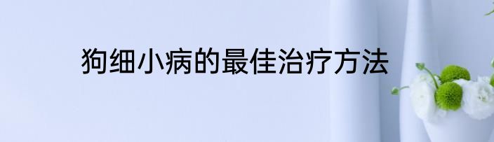 狗细小病的最佳治疗方法