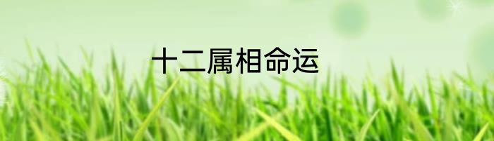 十二属相命运